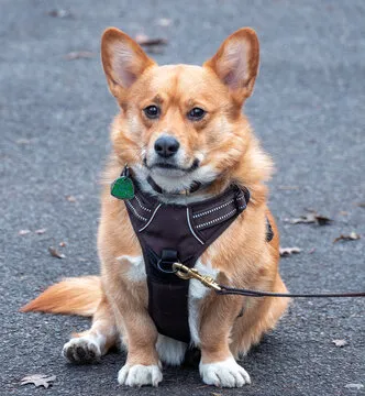 台湾大乐透玩法页面导航